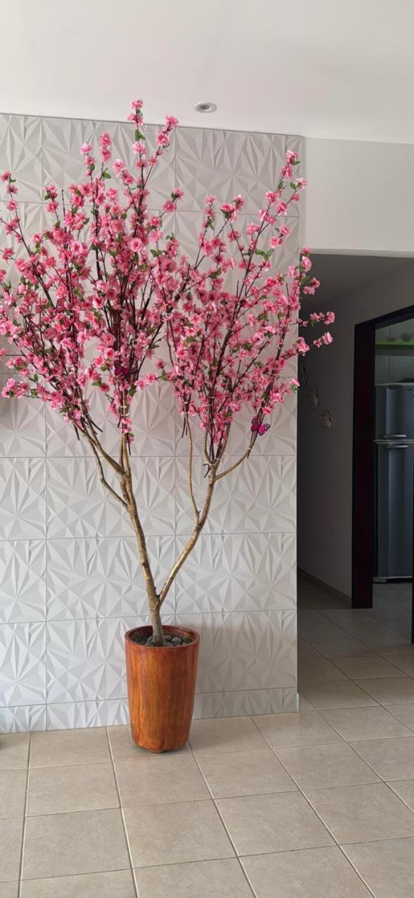 Holiday home Casa Pe Na Areia